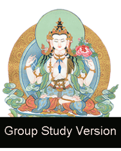 The Bodhisattva Path of Wisdom and Compassion (Group Study Version)